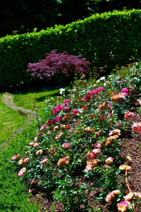 Le Grigne Guesthouse - The Garden Oliveto Lario Extérieur photo
