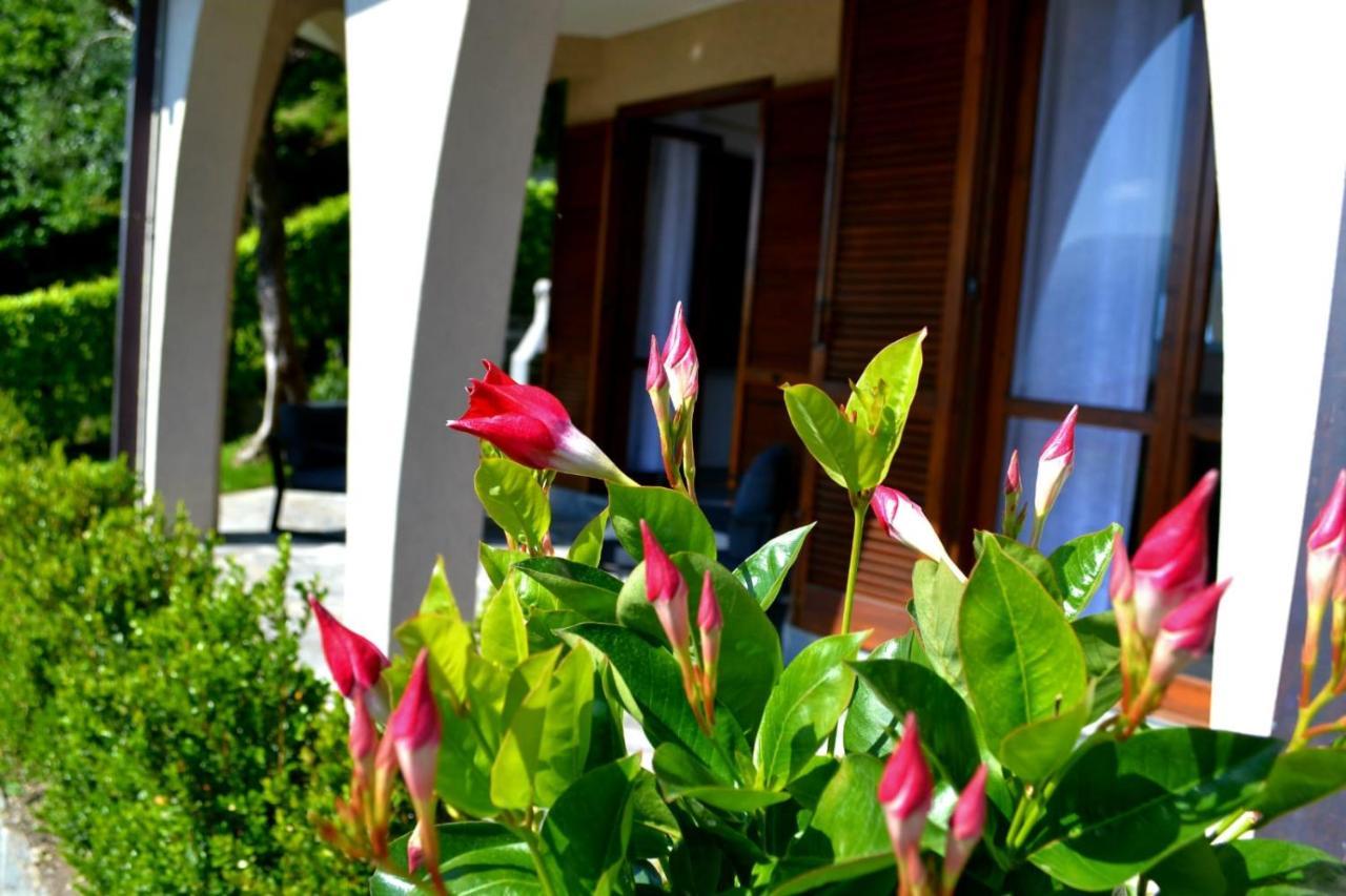 Le Grigne Guesthouse - The Garden Oliveto Lario Extérieur photo